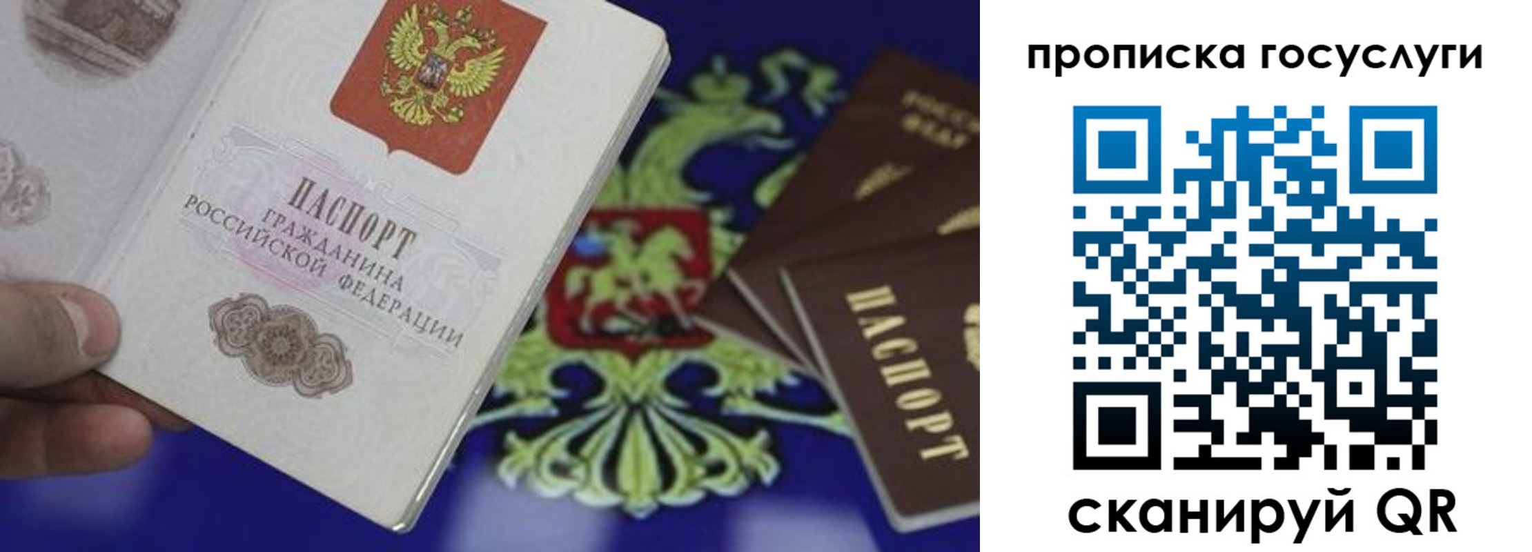 прописка для школы в Кандалакше
